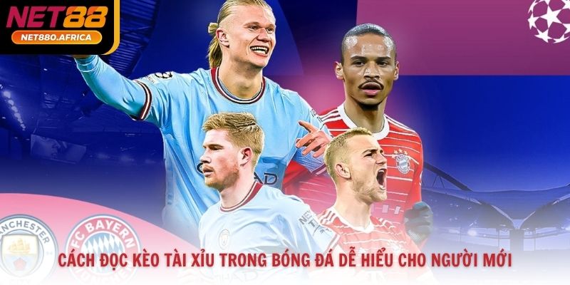 Cách Đọc Kèo Tài Xỉu Trong Bóng Đá Dễ Hiểu Cho Người Mới