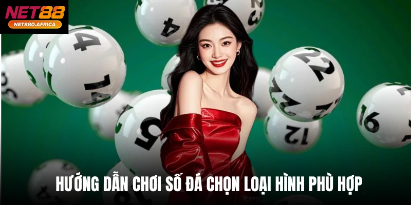 Hướng dẫn chơi số đá chọn loại hình phù hợp